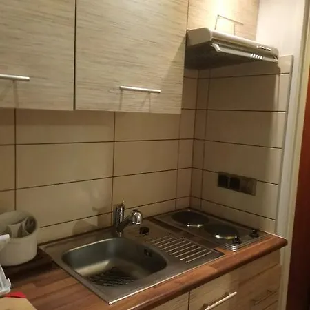 Willa Paradis Gorskie Zacisze Apartmán Zakopane
